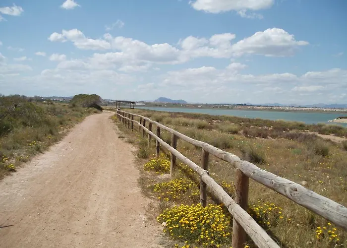 Atico En Calle Concordia, Cerca Playa Del Cura * Torrevieja